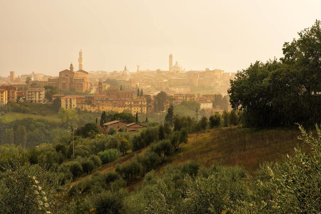Agriturismo Colombino Сиена Экстерьер фото
